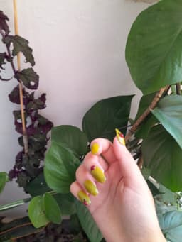 💚🐞✨️ 6
